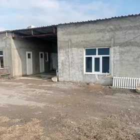 ekin yer 12,5 gektar