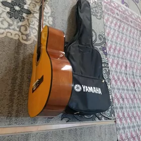 Gitara ŷamana c40