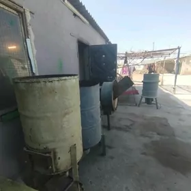 ot uweyan furukty uweyan