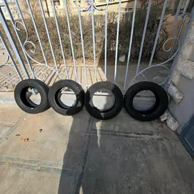 Текерлер Колёса