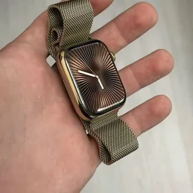 Apple watch 8 stainless