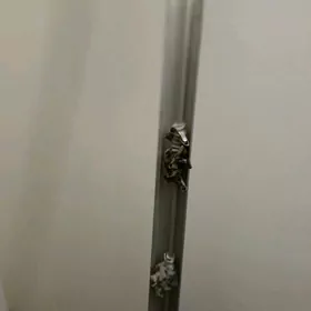 Карниз СССР