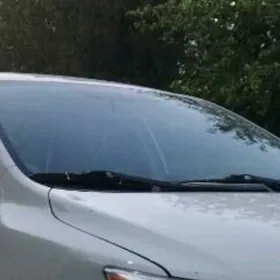 Labawoŷ aŷna argynal korolla