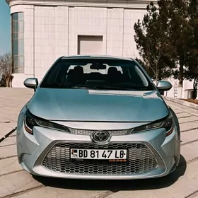 Toyota Corolla 2020