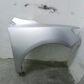 крыло карола саг тарап