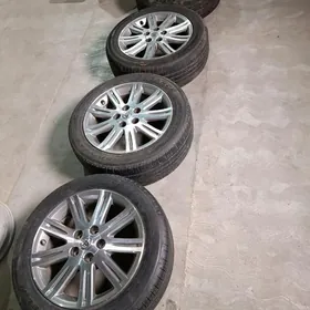 Diska pokryska titanik avalon