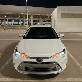 Toyota Corolla 2023