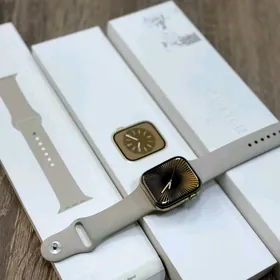 Apple Watch 8 45mm Steinles