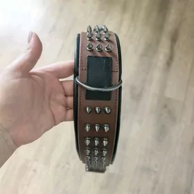 Ошейник для собак