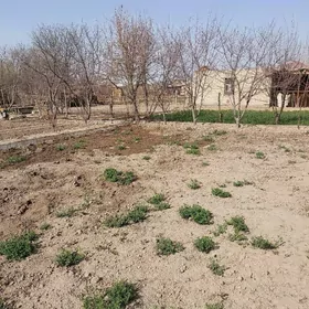 ATYZDA İŞLAR YALY KÖMEKÇİ GERK