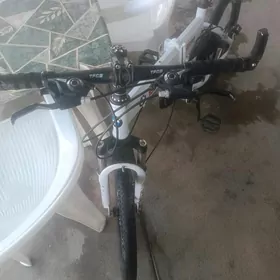 Tigir gyssagly welsepit