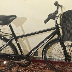 tigir 27 ÿaposka welo