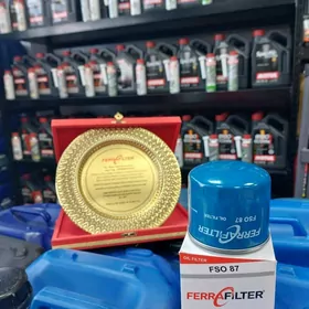 FSO87 HYUNDAI SANATA ELANTRA