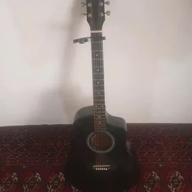 gitara siltron