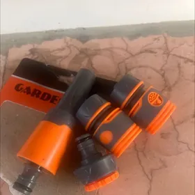 shalngan ujyna dakylyan