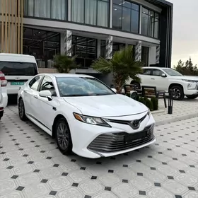Toyota Camry 2020