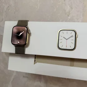 Apple Watch stainless steel