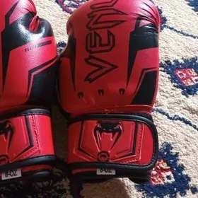 percatka sitki venum