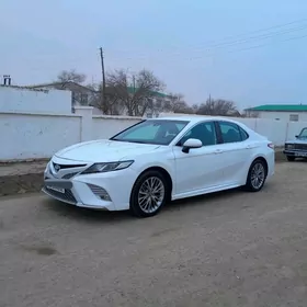 Toyota Camry 2019