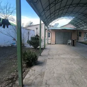 SATLYK PLAN JAÝ.AK ALTYN