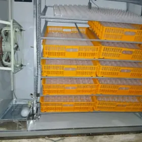 juje çikaryan inkiwatir