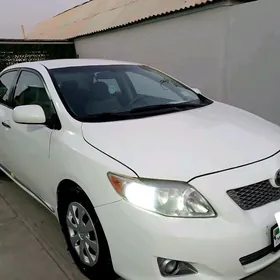 Toyota Corolla 2008