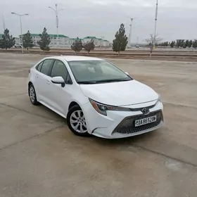 Toyota Corolla 2020