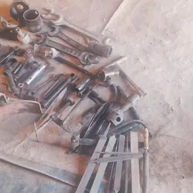 Patçibnikler we basgada abto ş