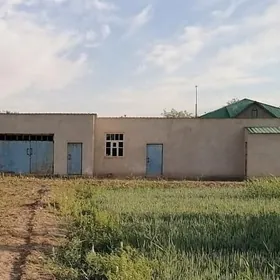 satlyk jaý Daşoguz Mir-2 de