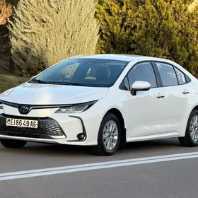 Toyota Corolla 2023