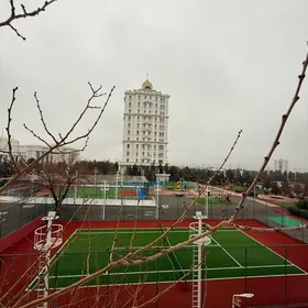 ЭЛИТКА ПО АРЧАБИЛЬ