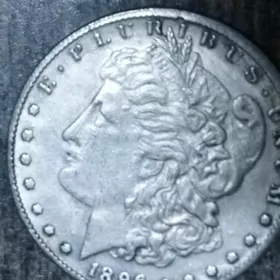 монета юбилейный  Морган