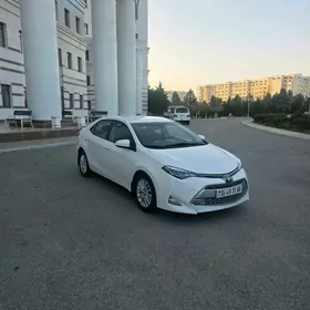 Toyota Corolla 2019