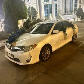Toyota Camry 2013