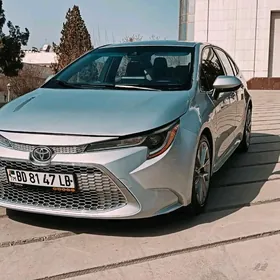 Toyota Corolla 2020