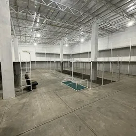 Arenda Ammar sklat angar