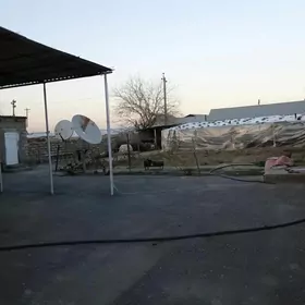 Gökdepe Hurmant gökje satlyk