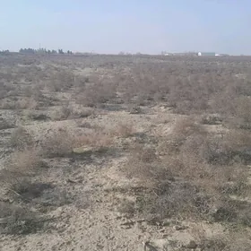 Kaka satlyk mellek ýer