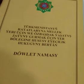 шабат етрап кироп 12сотик