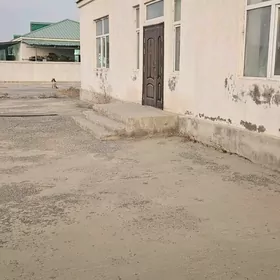 Gökdepe Yangala jay