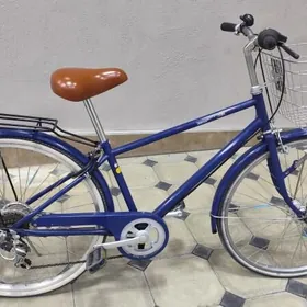 Tigir Ýapoşga welik