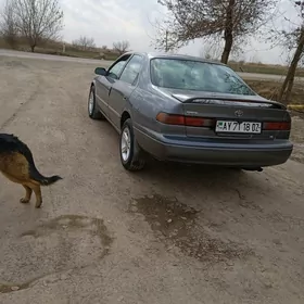 Toyota Camry 1999