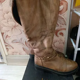 зимние сапоги