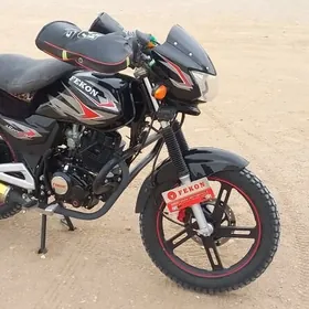 Fekon FK200-14G 2026