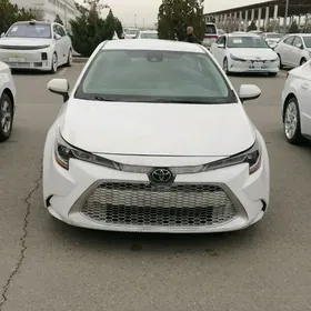 Toyota Corolla 2022