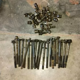 Galowkañ boltlary prastoy mato