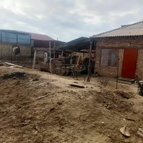 Gystagly Satlyk Zaton Daca