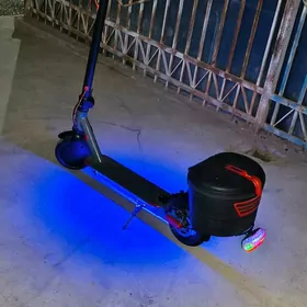 samakat somakat tokly tigir