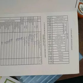 1 ком квартира в гресе