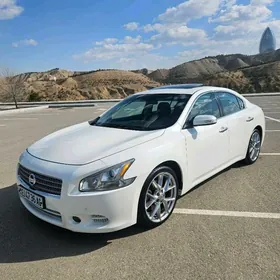 Nissan Maxima 2011